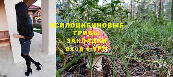 2c-b Гусиноозёрск